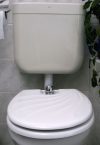   TOILETTE NETT bidé / bidével kombinált WC-ülőke, poliészter-műgyanta kivitel, kagylómintás tetővel, fehér színű, 120K típus