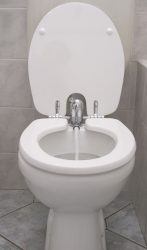 TOILETTE NETT bidé / bidével kombinált WC-ülőke, poliészter-műgyanta kivitel, fehér színű, 420L típus, elsősorban monoblokkos wc csészékhez