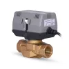   WENTOREX 3-járatú váltószelep és mozgató motor szett (3/4"), 726510000034