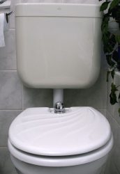 TOILETTE NETT bidé / bidével kombinált WC-ülőke, poliészter-műgyanta kivitel, kagylómintás tetővel, fehér színű, 120K típus